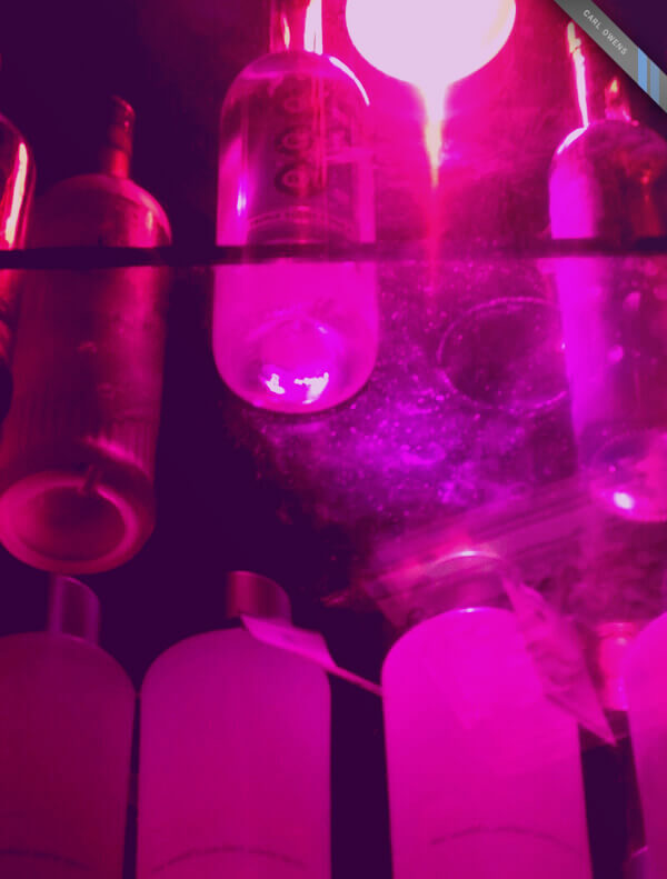 photo of pink bottles on a glass shelf in Las Vegas